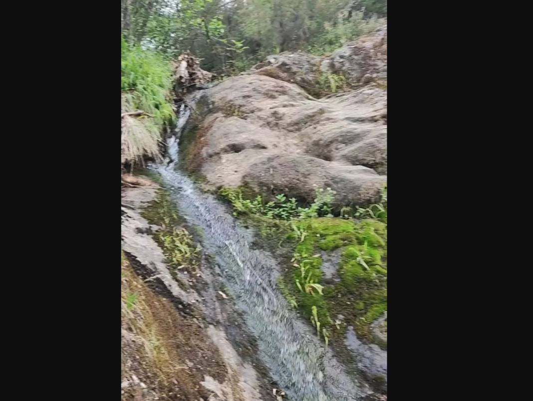 Korhan Berzeg’in ölümünde düğüm çözülüyor! DNA testi sonucu belli oldu - Resim: 46